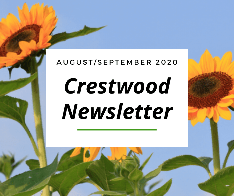 August/September 2020 Newsletter - Website