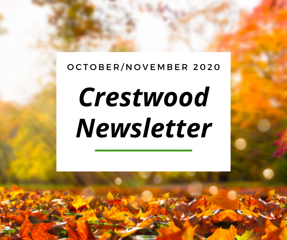 October Newsletter Website Image