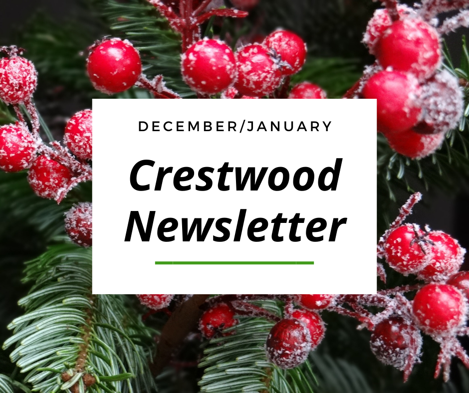 December Newsletter Image