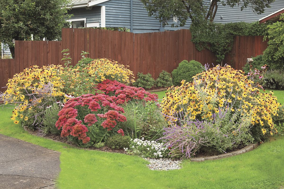 IMG_Photo of Rain Garden